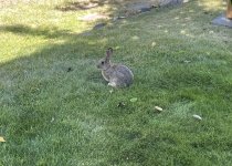 IMG_1357.jpg