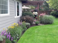 yard 2022 4.jpg