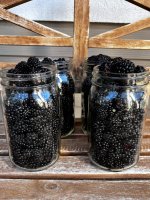 blackberries.jpg