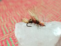 20220815_213642[1].jpg