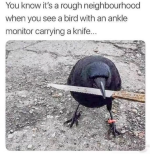 1660648448320.png