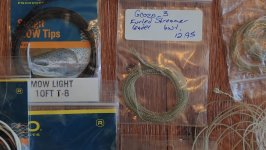 BZN71678.JPG