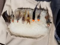 20220818_flies.jpg 20220818_flies.jpg