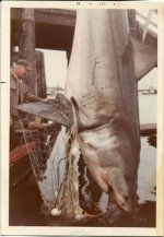 Rydman_1969_GW.jpg