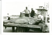 Rydman_1969_GW_2.jpg
