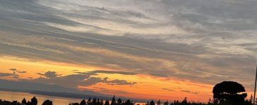 6E293BBE-1A84-4AC8-A091-869105B95C45.jpeg