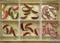 IMG_1556.jpeg IMG_1556.jpeg