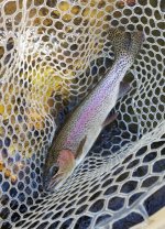 20220820_latesummercolors.jpg 20220820_latesummercolors.jpg