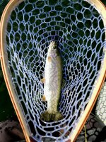 20220815_152135.jpg 20220815_152135.jpg