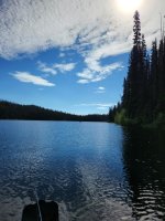 20220816_102455.jpg 20220816_102455.jpg