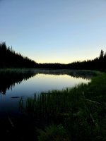 20220817_060934.jpg 20220817_060934.jpg