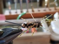 20220821_125552.jpg 20220821_125552.jpg