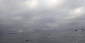 631D1C95-E219-4974-88C6-E12424808878.jpeg