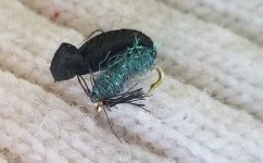 20220828_woreoutbeetle.jpg