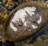 20220828_stones.jpg