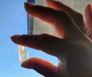 20220830_184244.jpg