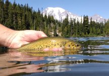 20220831_124720.jpg 20220831_124720.jpg