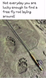1662114727238.png