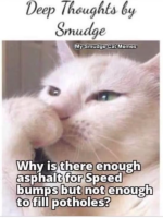 1662207182360.png