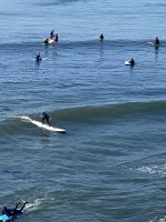 D547D516-BE26-43BA-99E3-5B73D0A50485.jpeg D547D516-BE26-43BA-99E3-5B73D0A50485.jpeg