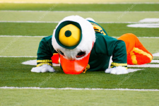 1662247299960.png
