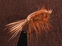 tied down caddis.jpeg tied down caddis.jpeg