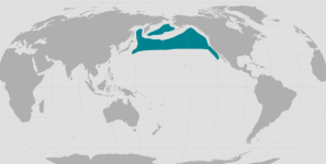 northern_fur_seal_range.png