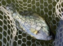 20220905_docsprat.jpg 20220905_docsprat.jpg