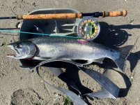 Area 9 coho 5 Sep.jpg
