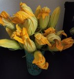 20220905_204522.jpg 20220905_204522.jpg