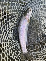 12B1DF33-C8AE-4A10-B1D7-09E23CCF5DE0.jpeg