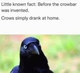 1662722430353.png