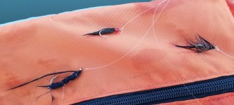 20220909_flies.jpg 20220909_flies.jpg