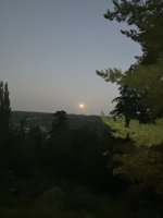 7826478F-ABC4-46AF-9BAA-3EE473175FF4.jpeg