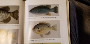 20220910_085840[1].jpg