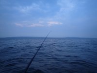 C7469D84-B1D0-443D-A16F-9E02A885D6DE.jpeg
