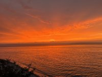 7B880D5F-7306-4D18-AE99-DA60C8317733.jpeg