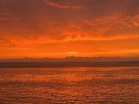 963A81B9-48B2-41B5-85BD-3D4B86E8428F.jpeg