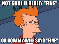 not-sure-if-really-fine-or-how-my-wife-says-fine.jpg