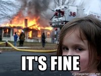 its-fine.jpg