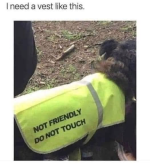 1663155994014.png