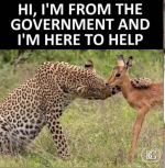 1663246402433.png