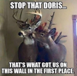 1663246605752.png