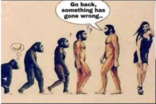 1663255155745.png