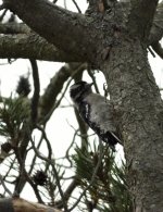 0FE19EBE-F6DD-4D4D-ADD1-F468B383E105.jpeg 0FE19EBE-F6DD-4D4D-ADD1-F468B383E105.jpeg