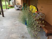 20190424_084839.jpg