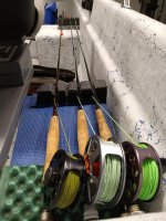 IMG_20220916_173556546.jpg