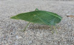 20220917_104854.jpg 20220917_104854.jpg