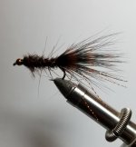 20191227_214840.jpg