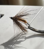 OctCaddis.JPG OctCaddis.JPG